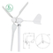 Home 600W 12V 24V Rüzgar Türbini Rüzgar Jeneratörleri Kompakt Yapı